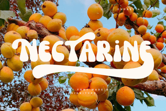 Rediscover Retro Charm with the Nectarine Display Font